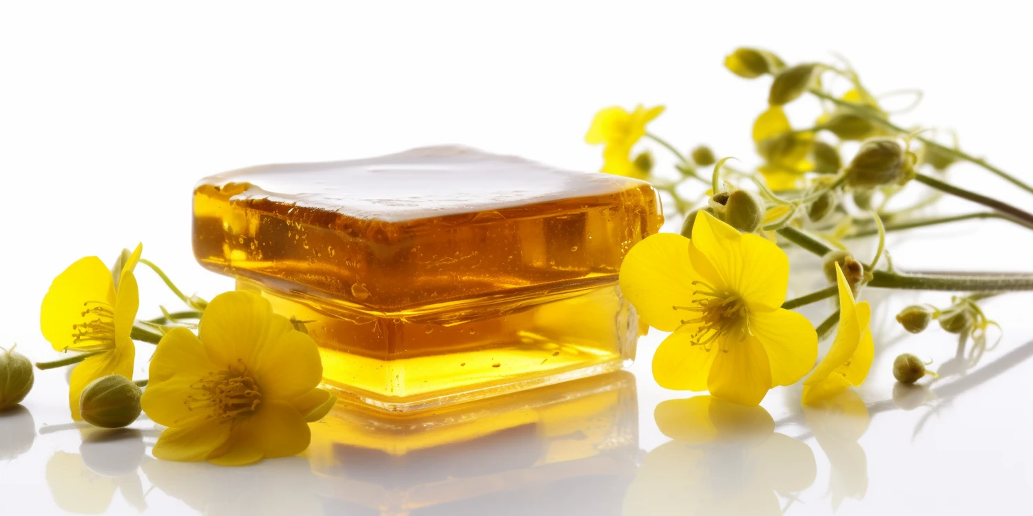 Jakie matki pszczele są najlepsze?