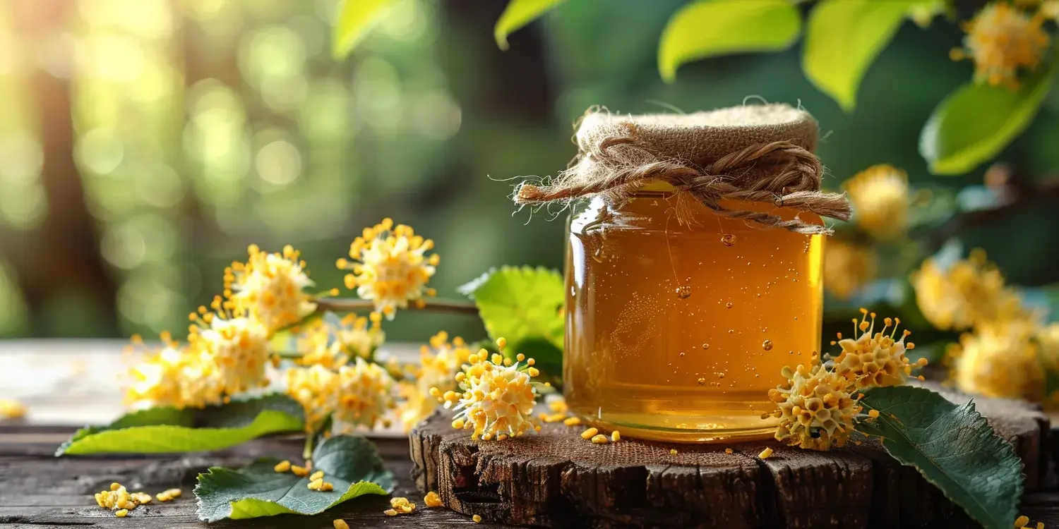 Miód rzepakowy gdzie kupić?