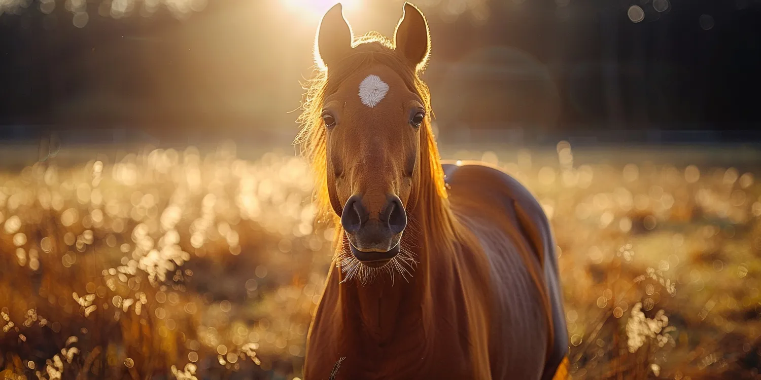 Ile waży trawa z rolki?