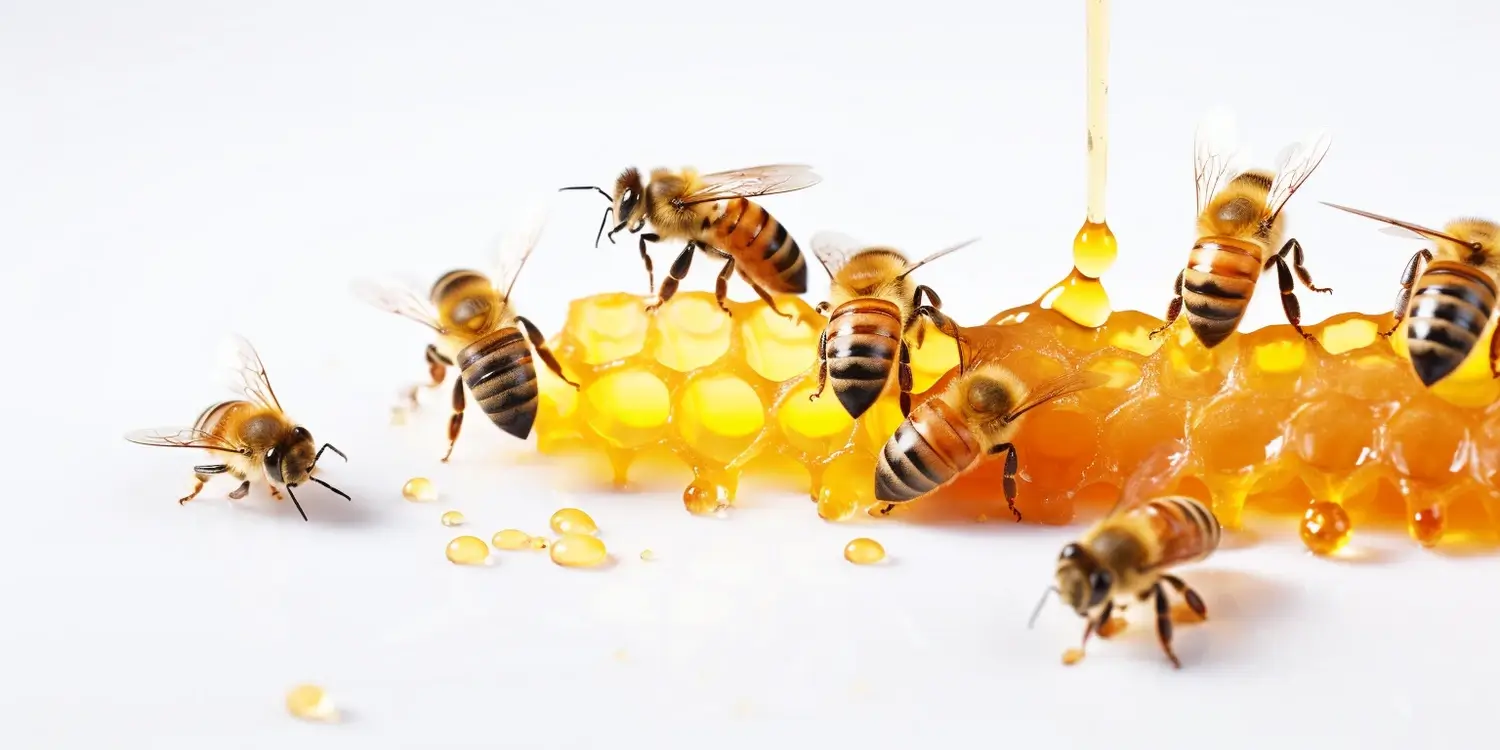 Jak wygląda miód wrzosowy?