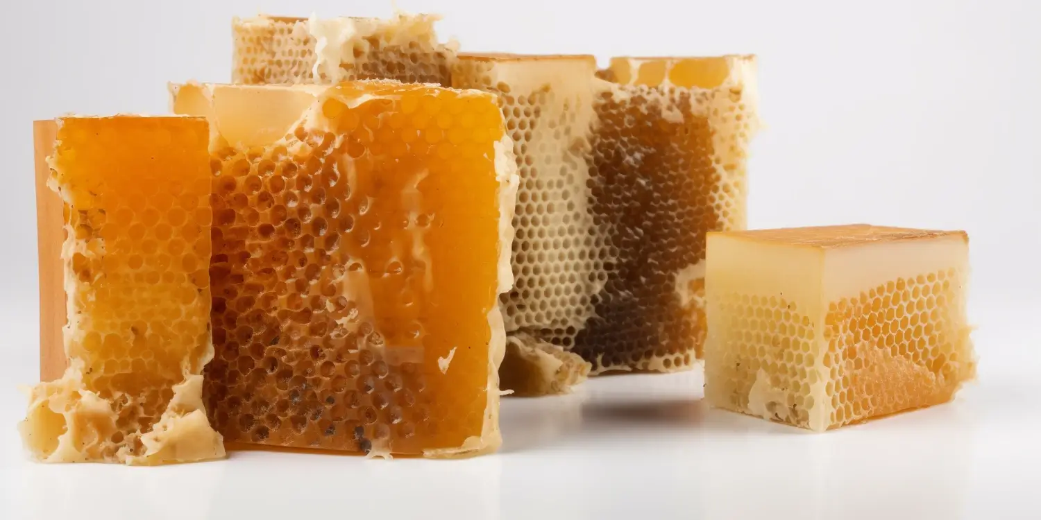 Jak rozpoznać miód rzepakowy?